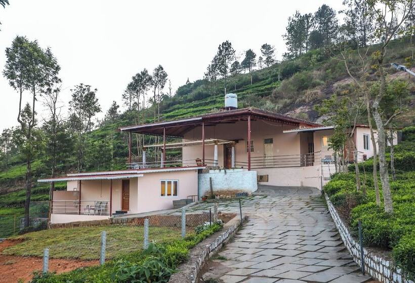 ホテル Blue Nile Homestay