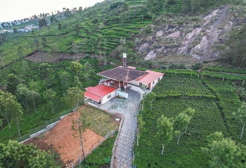 ホテル Blue Nile Homestay