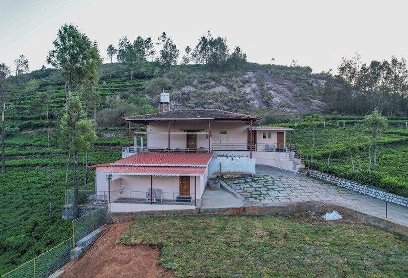 ホテル Blue Nile Homestay