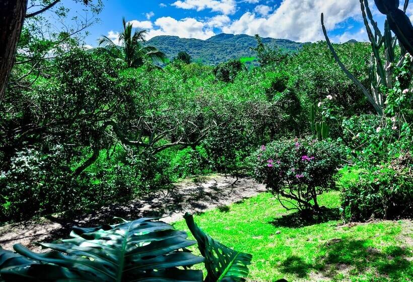 فندق Canal Grande Lodge