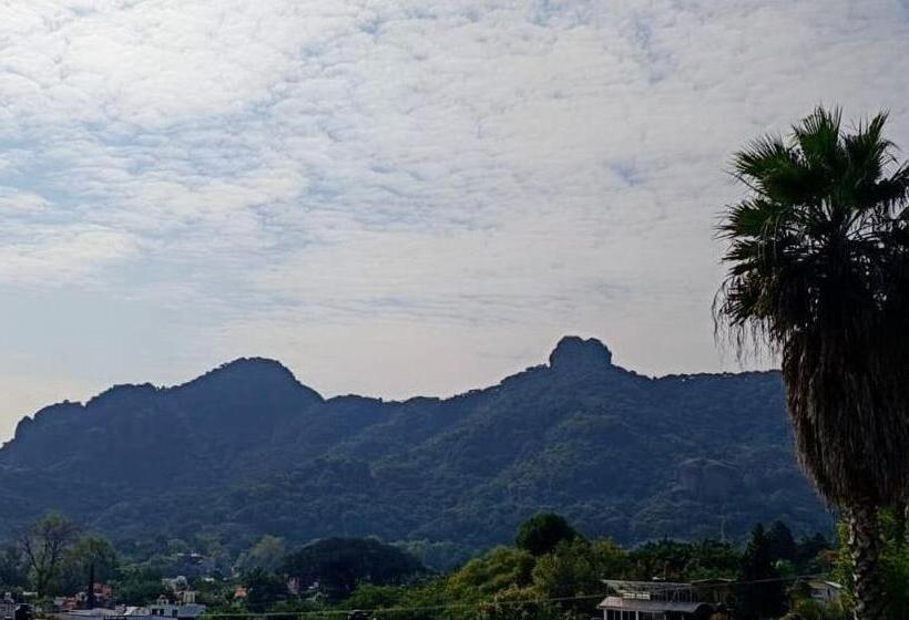 ホテル Casa San Jose