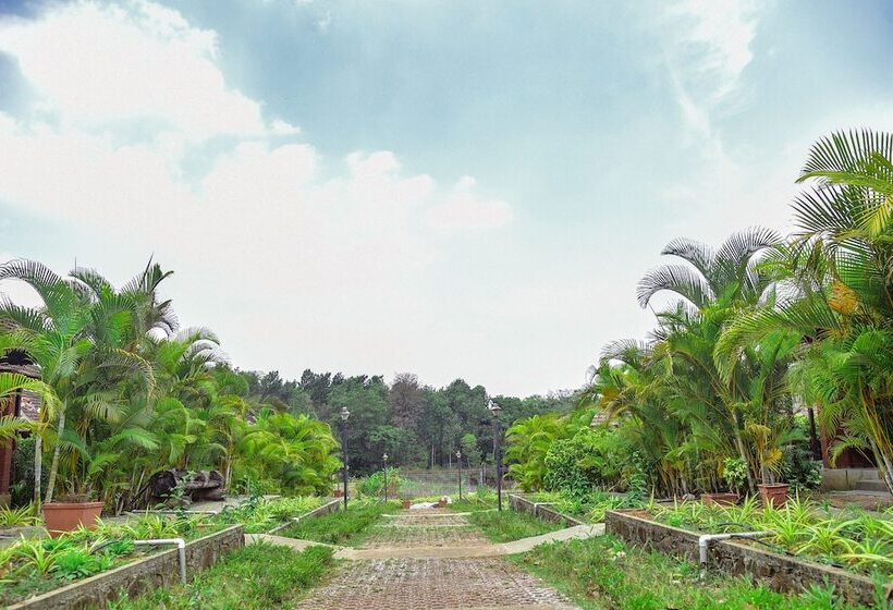 호텔 Clover Holiday Village