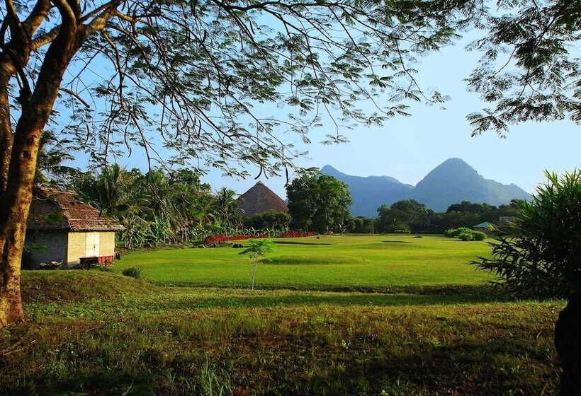 هتل Cuc Phuong Resort