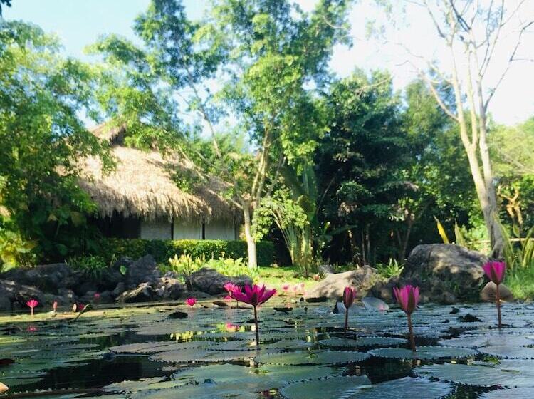 هتل Cuc Phuong Resort