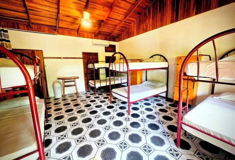 호텔 Don Jon S Surf And Yoga Lodge