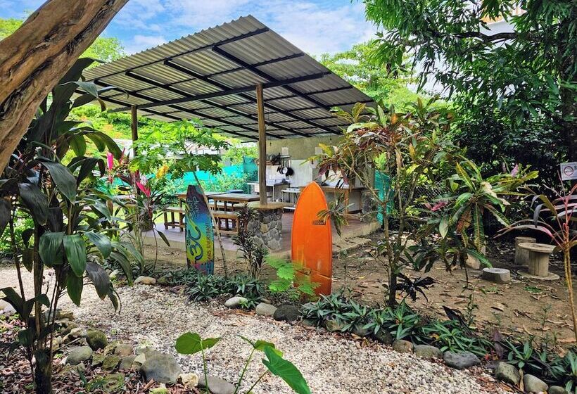 호텔 Don Jon S Surf And Yoga Lodge