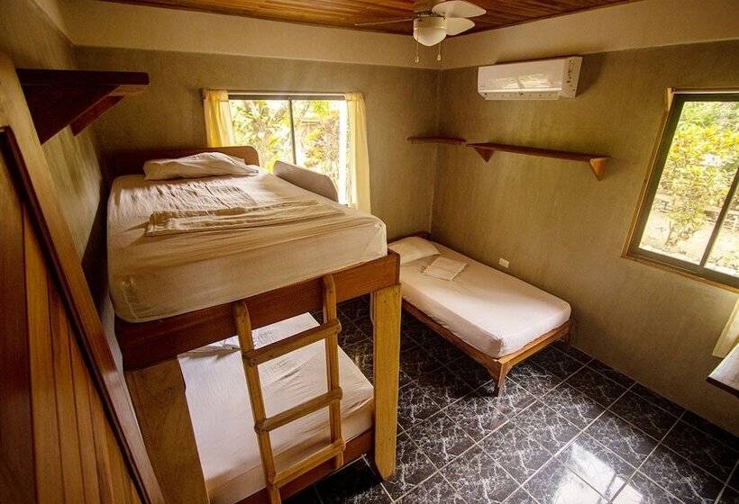 호텔 Don Jon S Surf And Yoga Lodge