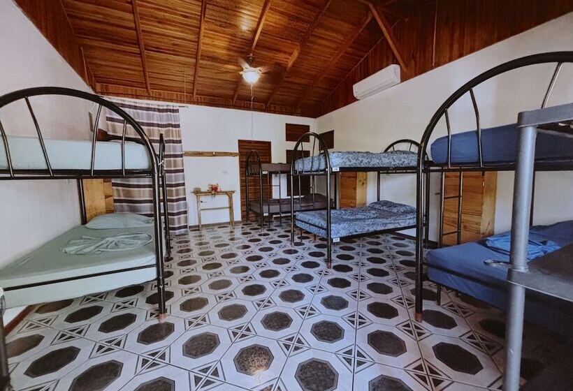 호텔 Don Jon S Surf And Yoga Lodge