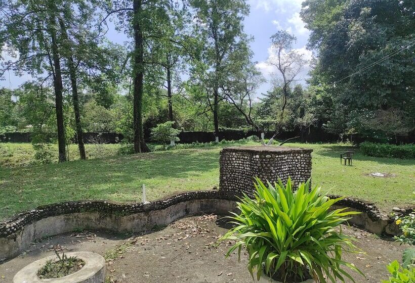 בית מלון כפרי Homecation Manas View Jungle Resort