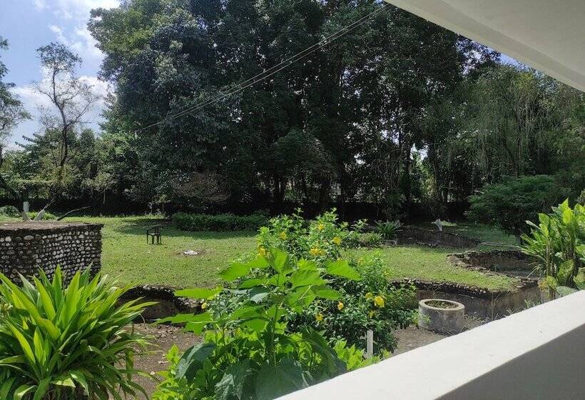 فندق Homecation Manas View Jungle Resort