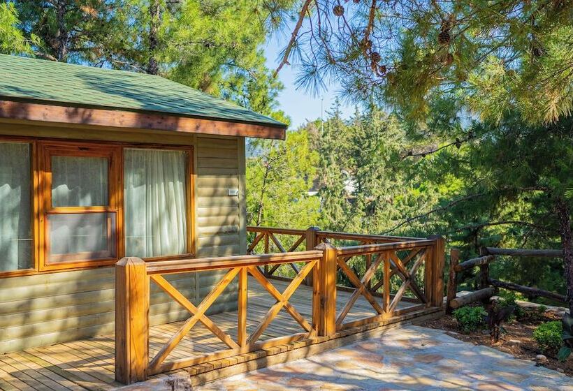 فندق Kairos Valley Health & Nature Resort