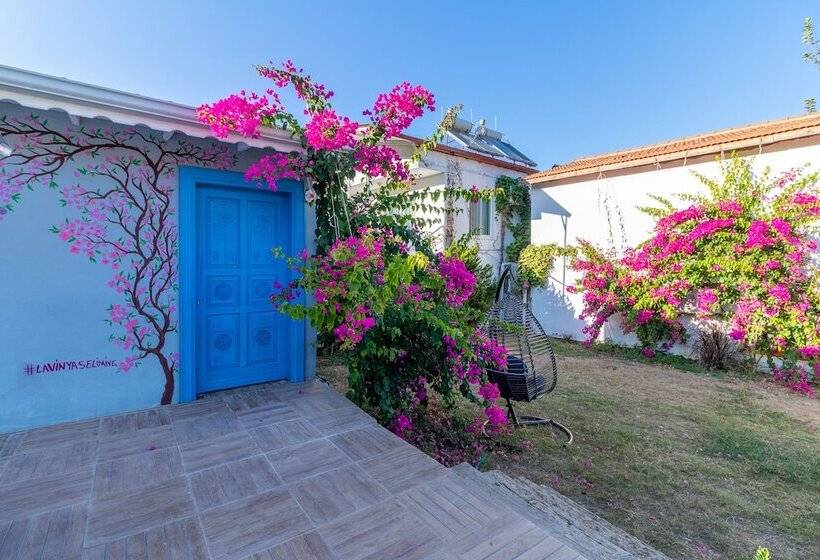 فندق Lavinya Selimiye Buotique