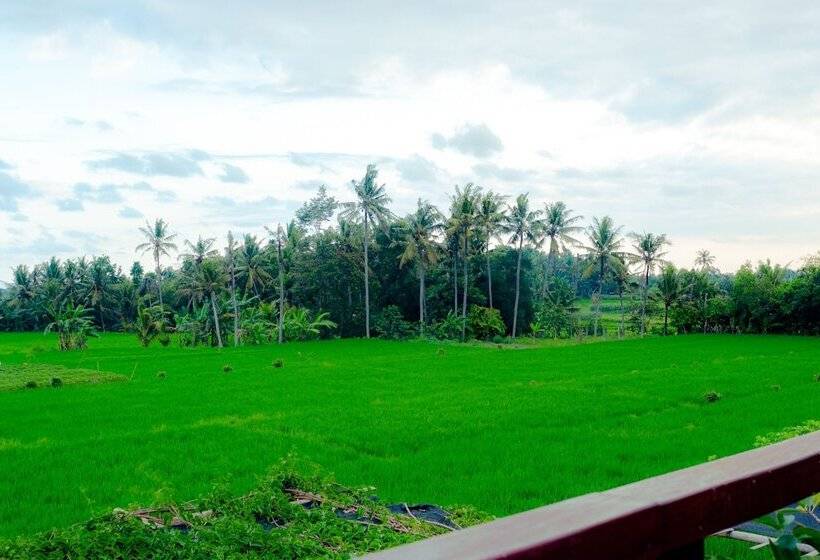 فندق Nauna Villa Bali