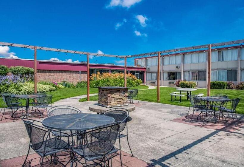 酒店 Quality Inn & Suites