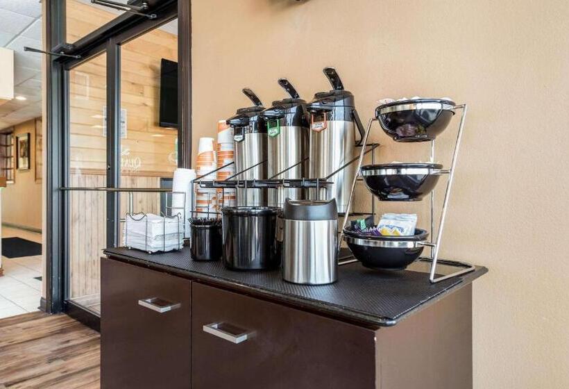 酒店 Quality Inn & Suites