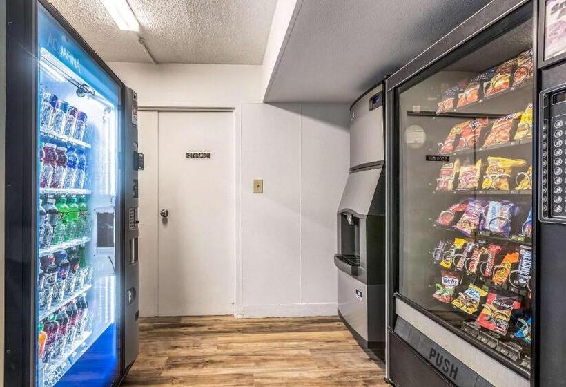 酒店 Quality Inn & Suites