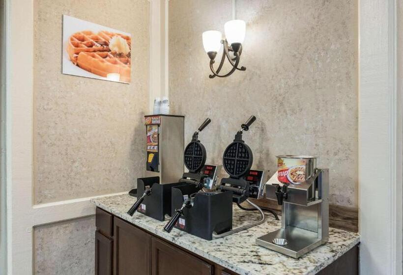 酒店 Quality Inn & Suites