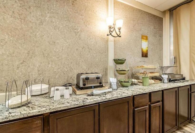 酒店 Quality Inn & Suites