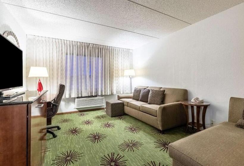 酒店 Quality Inn & Suites