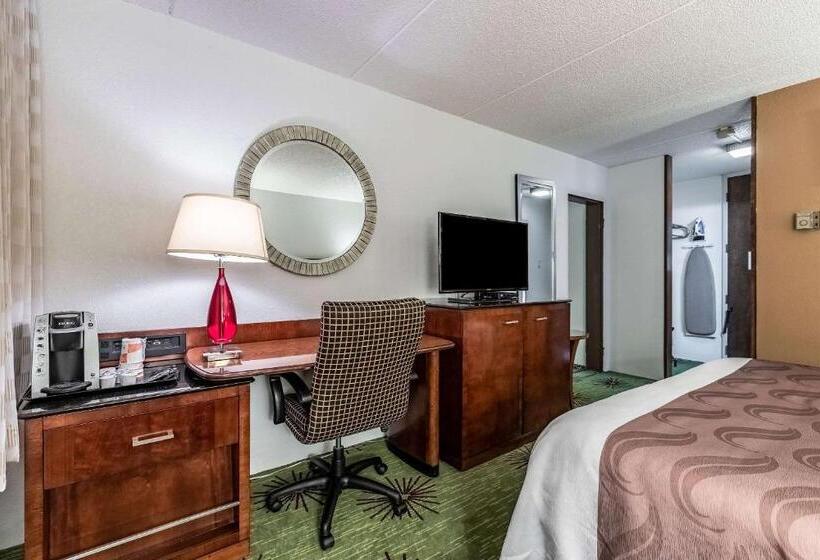 酒店 Quality Inn & Suites