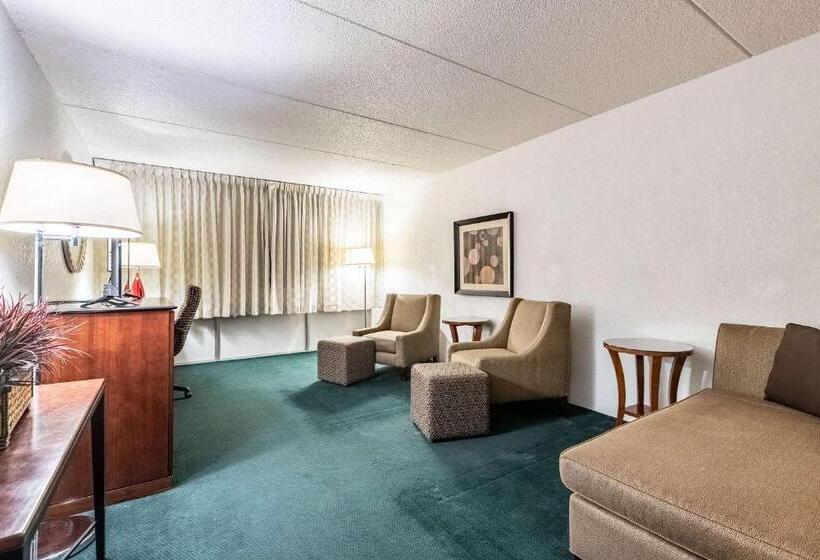 酒店 Quality Inn & Suites