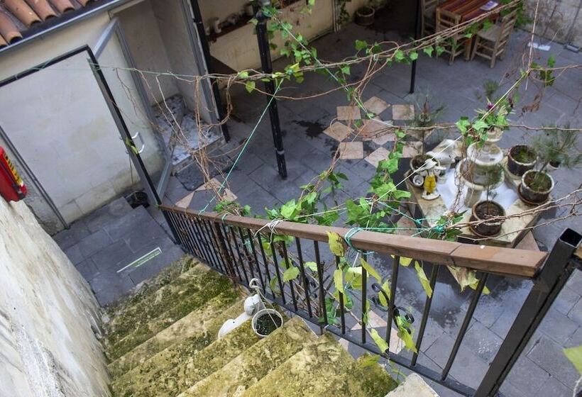 هتل Sirvani Konagi