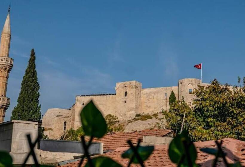 هتل Sirvani Konagi