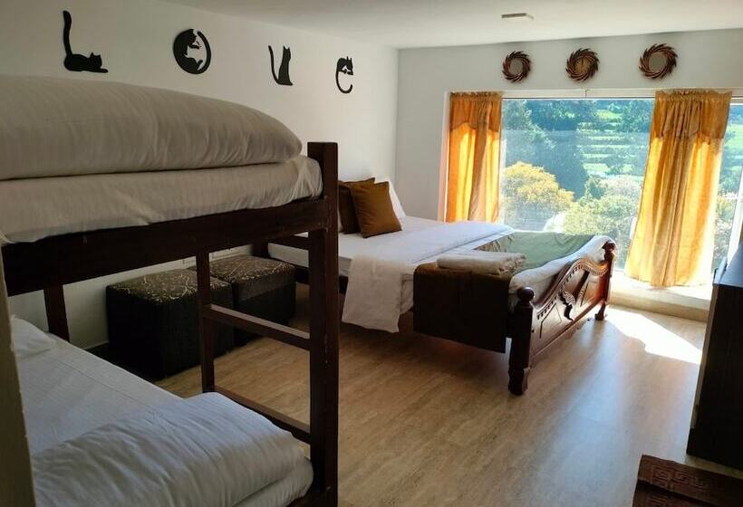 Отель The 643 Holiday Homes