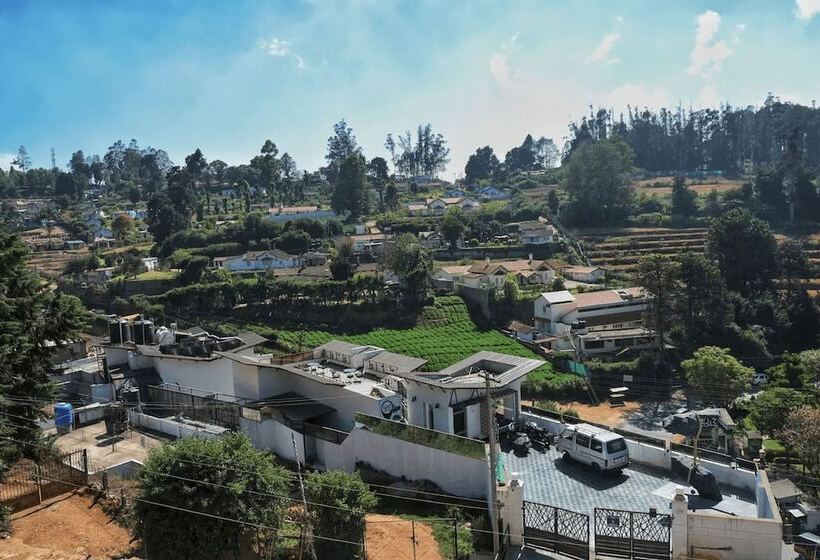 Отель The 643 Holiday Homes