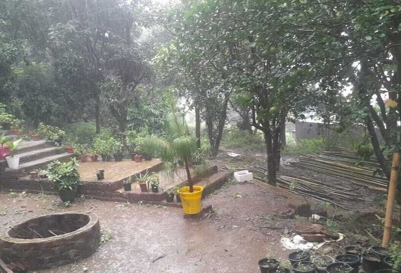 فندق The Palm Bliss Resort