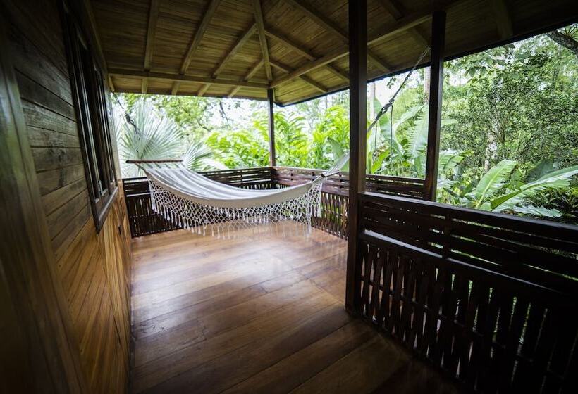 فندق The River House   Upscale Lodge