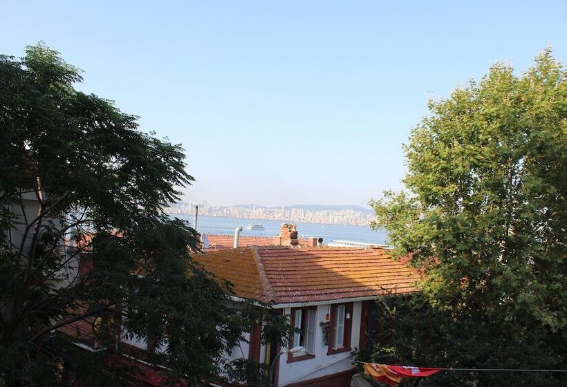 펜션 Buyukada Hotel Carla