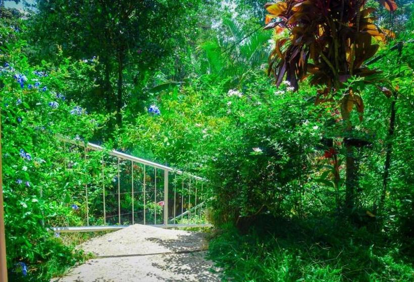 ペンション City Escape