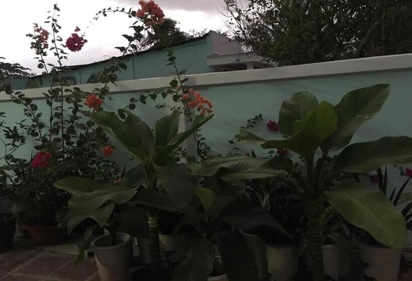 پانسیون Con Son Green Island