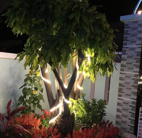 پانسیون Con Son Green Island