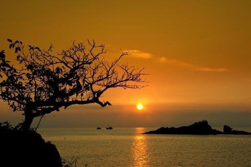 پانسیون Con Son Green Island