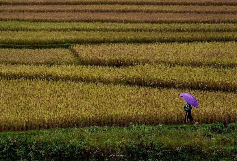 پانسیون Dong Suoi H Mong Homestay