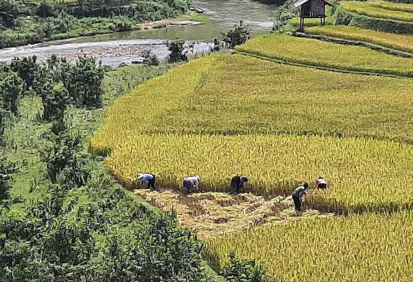 پانسیون Dong Suoi H Mong Homestay