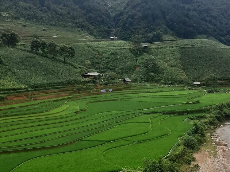 پانسیون Dong Suoi H Mong Homestay