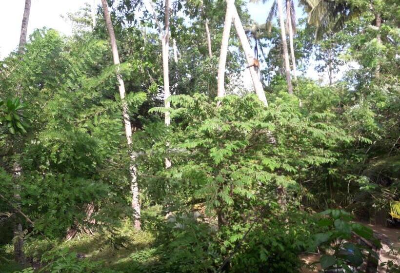 펜션 Pigeon House Kabalana