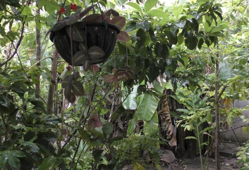 펜션 Pigeon House Kabalana