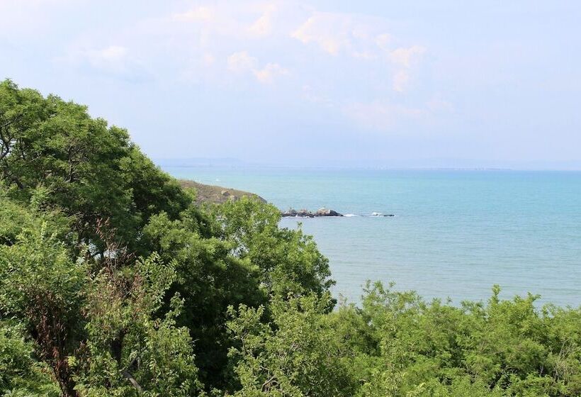 膳宿费 Sunset Art