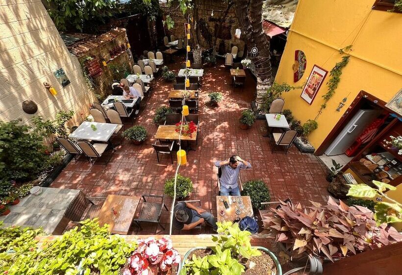 پانسیون Tarihi Sarı Konak