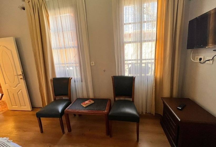 پانسیون Tarihi Sarı Konak