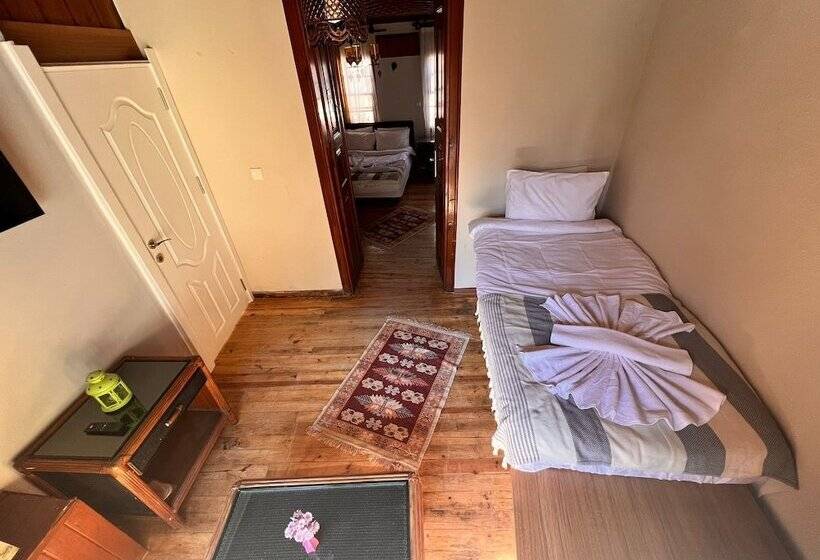 پانسیون Tarihi Sarı Konak