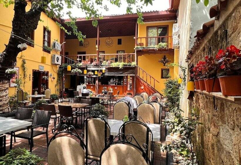 پانسیون Tarihi Sarı Konak