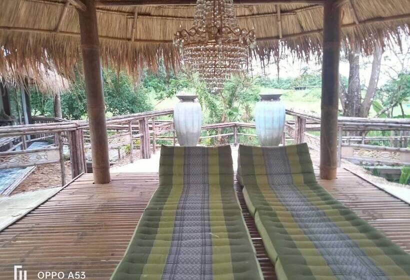 渡假胜地  Jungle Moon Boutique Homestay