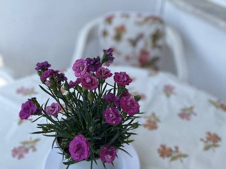 Sedef Pansiyon Apart Otel Sarkoy