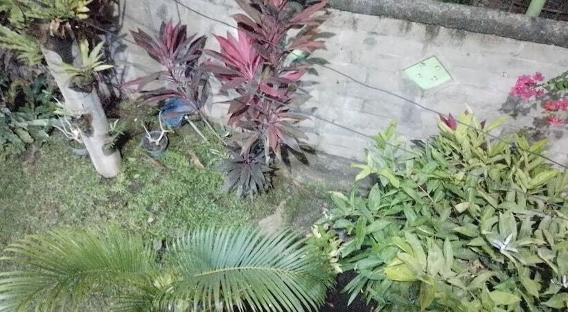 ベッドアンドブレックファースト Halfway House