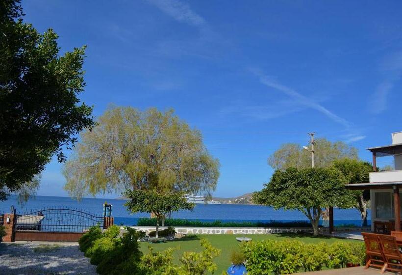 住宿加早餐 Yüksel Butik